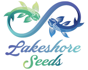 brand partner lakeshore seeds providing quality cannabis
